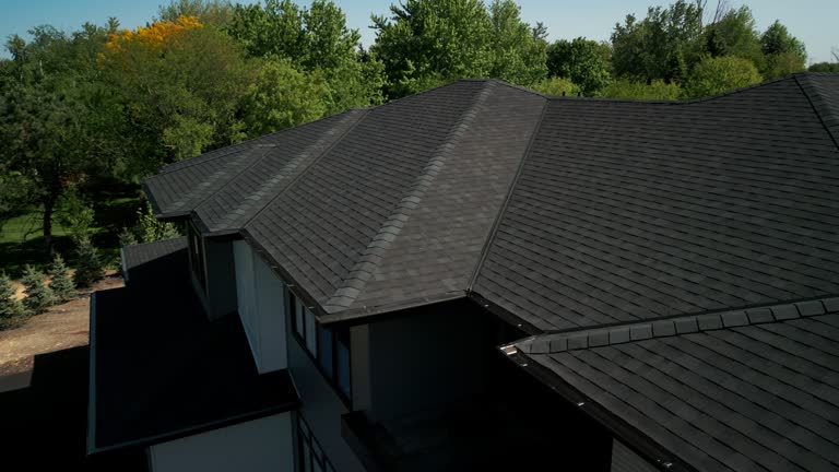 Best Emergency Roof Repair Services  in Wenona, IL